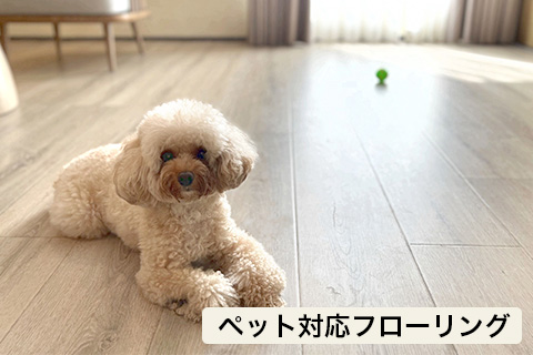 ペット快適リフォーム