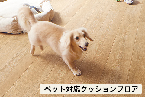 ペット快適リフォーム